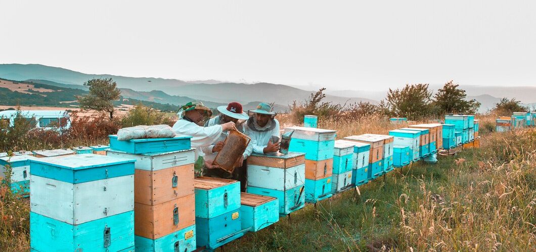 Przygoda z pszczołami – doświadczenia trzypokoleniowej rodziny pszczelarzy